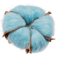 Превью для  цветок хлопка cotton, голубой