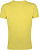Превью для  футболка мужская regent fit 150, желтая (горчичная)