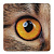 Превью для  зеркало look at meow, квадратное